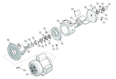 Tête seule pompe vacuum 030FTSCI 8CFM Modèle 30FTSCI 0030-066 0030-066 (Pièces) - Airablo